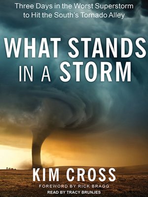 cover image of What Stands in a Storm